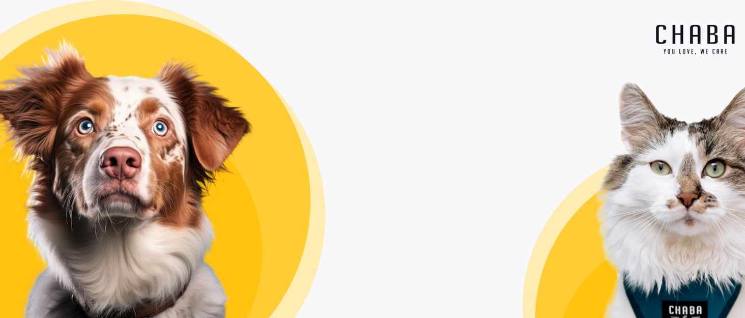 Шлейка для собак Chaba Guard середнього розміру, контрольована, протисмикова, регульована, комфортна та легка, класична Step-in, для прогулянок, розмір L, колір Морський