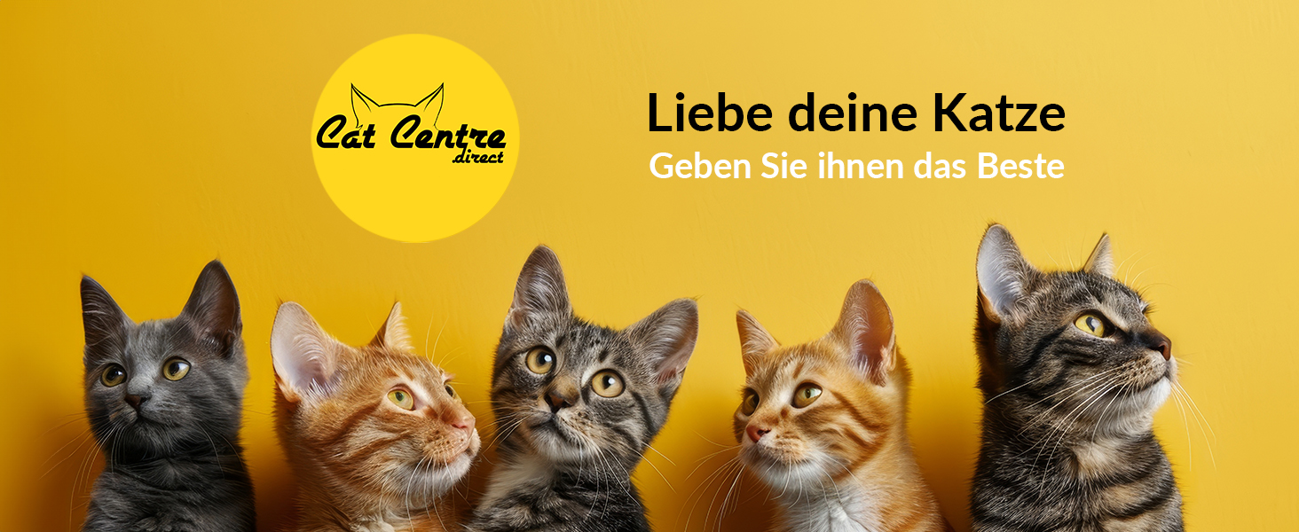 Транспортний бокс для котів Open Top, блакитний, 49 x 34 x 32 см