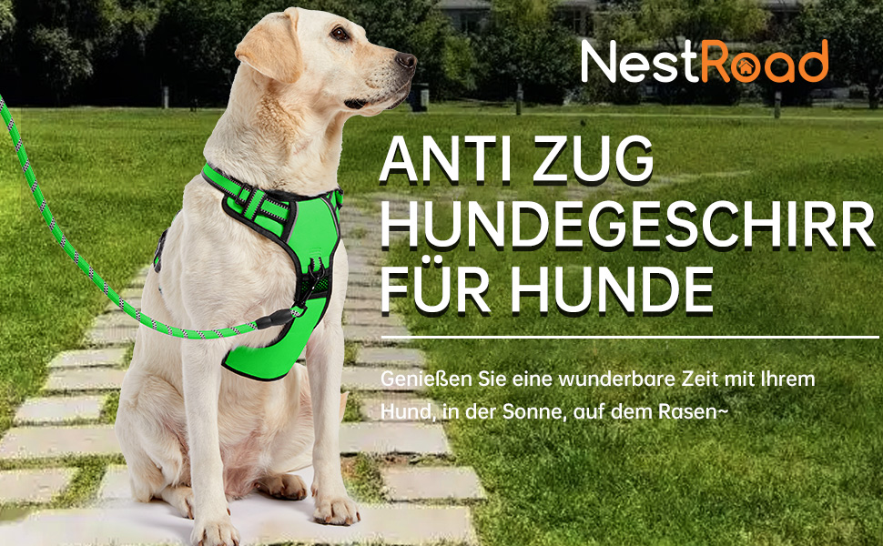 Шлейка для собак середнього розміру NESTROAD, розмір M, протисмикова, для собак середніх порід, обхват шиї 33-43 см, обхват грудей 43-64 см, безпечна, з підкладкою, зелена