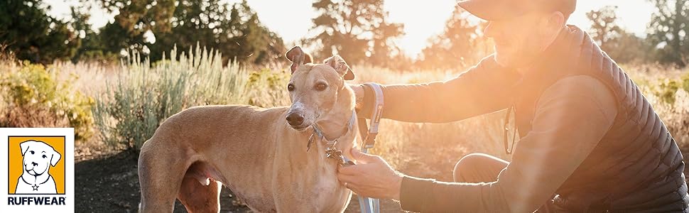 Нашийник для собак RUFFWEAR Web Reaction, синій, 28-36 см