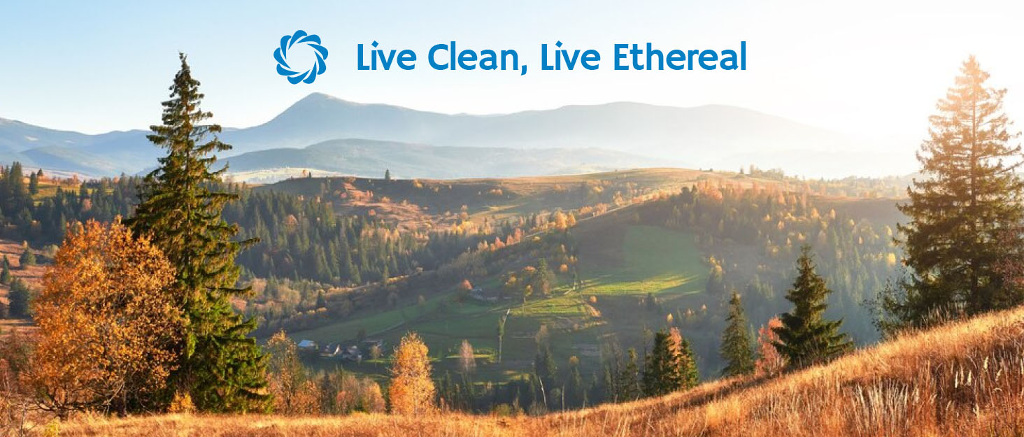 Електричний сушильник для взуття AIRTHEREAL SD20 з озоновою дезінфекцією, таймером та швидкою сушінням - для робочих, гірськолижних черевиків, кросівок та рукавичок