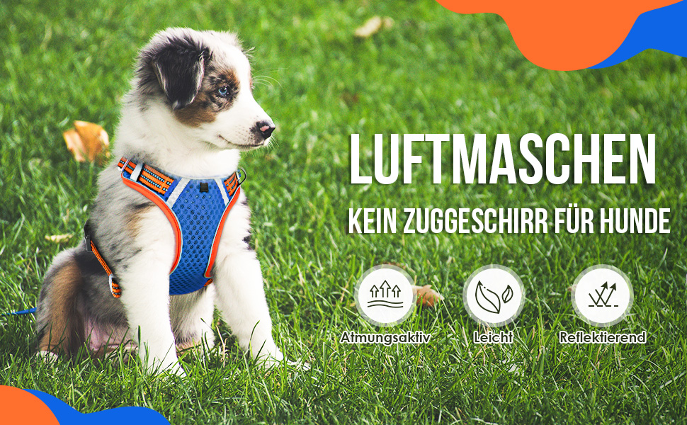 Шлейка для собак маленьких та середніх порід, Air Mesh дихаюча, з м'якою ручкою та замикаючими карабінами, вибухостійка, світловідбиваюча, червона, XS