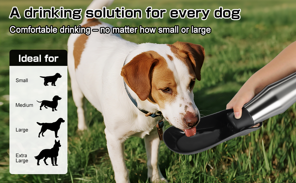 Водяна пляшка для собак на прогулянці: не протікає, з нержавіючої сталі, 750 мл (Чорний)