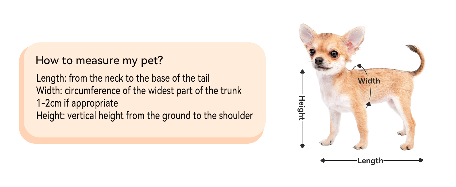Рюкзак для кота та собаки Petsfit - зручний та дихаючий, до 5 кг, з сіткою та ременем, чорний та помаранчевий