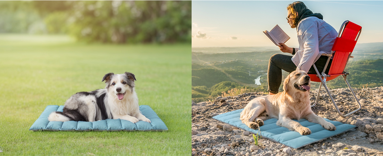 Водонепроникний килимок для собак Western Home: зручний, портативний, 110x68 см (Блакитний)