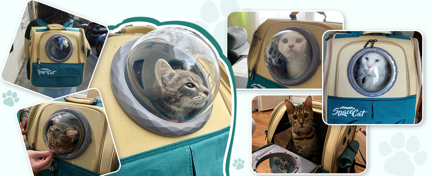 Рюкзак-переноска для кота Galatée, рюкзак для тварин, рюкзак-кокони, рюкзак-капсула з вентиляцією, рюкзак для собак та маленьких собак (сірий)