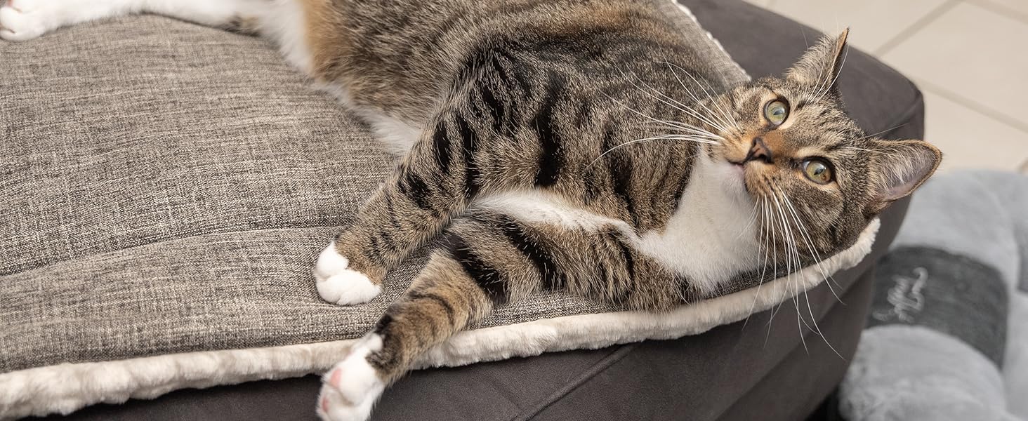 TrendPet Лежанка для собак і котів, двостороння, з підкладкою, 90x65 см, бежева