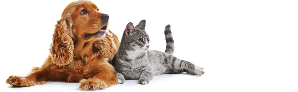 Щітка для вичісування підшерстка собак та котів, професійна для видалення ковтунів та шерсті