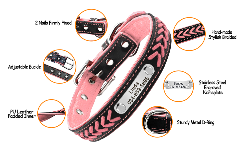 Шкіряний нашийник для собак та котів Berry з регулюванням та іменником, Rosa (L: 37-47 см)