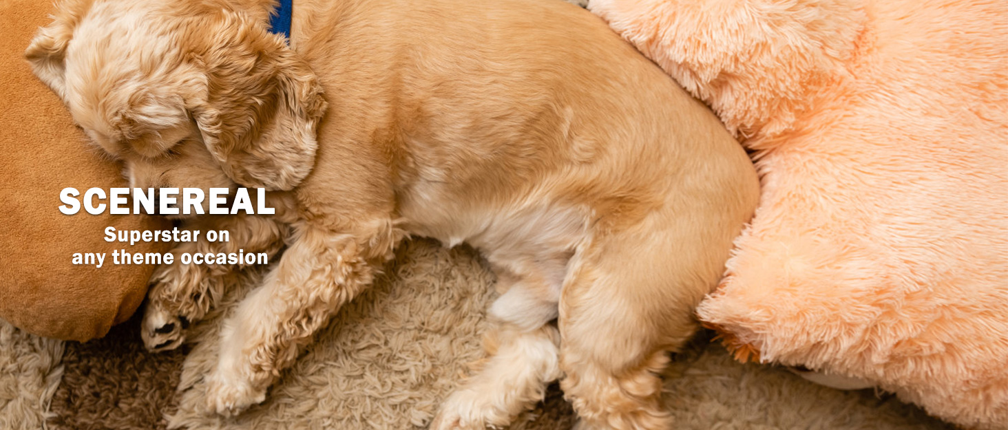 Висувна поводок для собак SCENEREAL – 7.8 м, з LED-ліхтариком та дозатором для відходів, до 50 кг, для середніх та великих собак