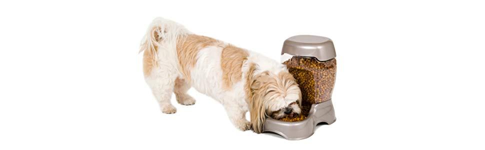 Автомат для годування домашніх тварин Petmate Pet Café, перламутровий, 3 розміри, 6 фунтів