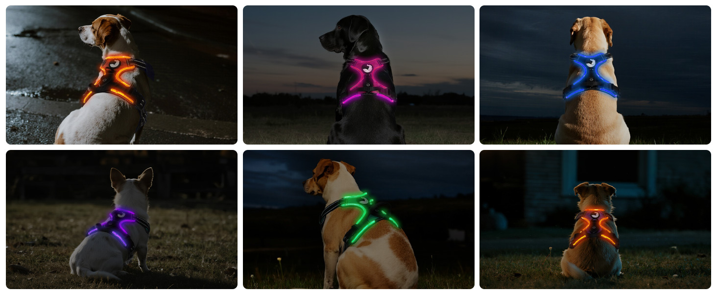 Світловідбиваючий нашийник для собак Joytale з LED, перезаряджуваний, для середніх собак, не тягне, з ручкою, регульований, для нічних прогулянок, чорно-синій, M (1 шт.)