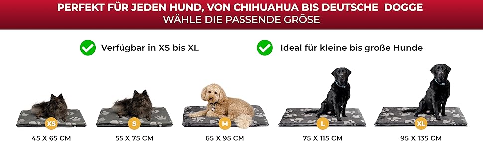 Підстилка для собак XS (45x65 см) – двостороння, м'яка, з наповнювачем 3 см – для дивана, авто, переноски – Tatze Beige, Made in Germany 45 x 65 см Tatze Beige