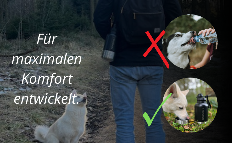 Водяна пляшка для собак на прогулянці 4-в-1, 950 мл, з мисками для води та корму, з нержавіючої сталі, BPA-Free