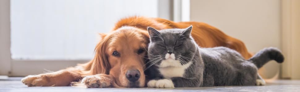 Складаний водовідштовхуючий загін для цуценят, собак, котів та кроликів Animal House: універсальний та портативний, для дому, 74 x 74 x 43 (Жовтий, маленький)