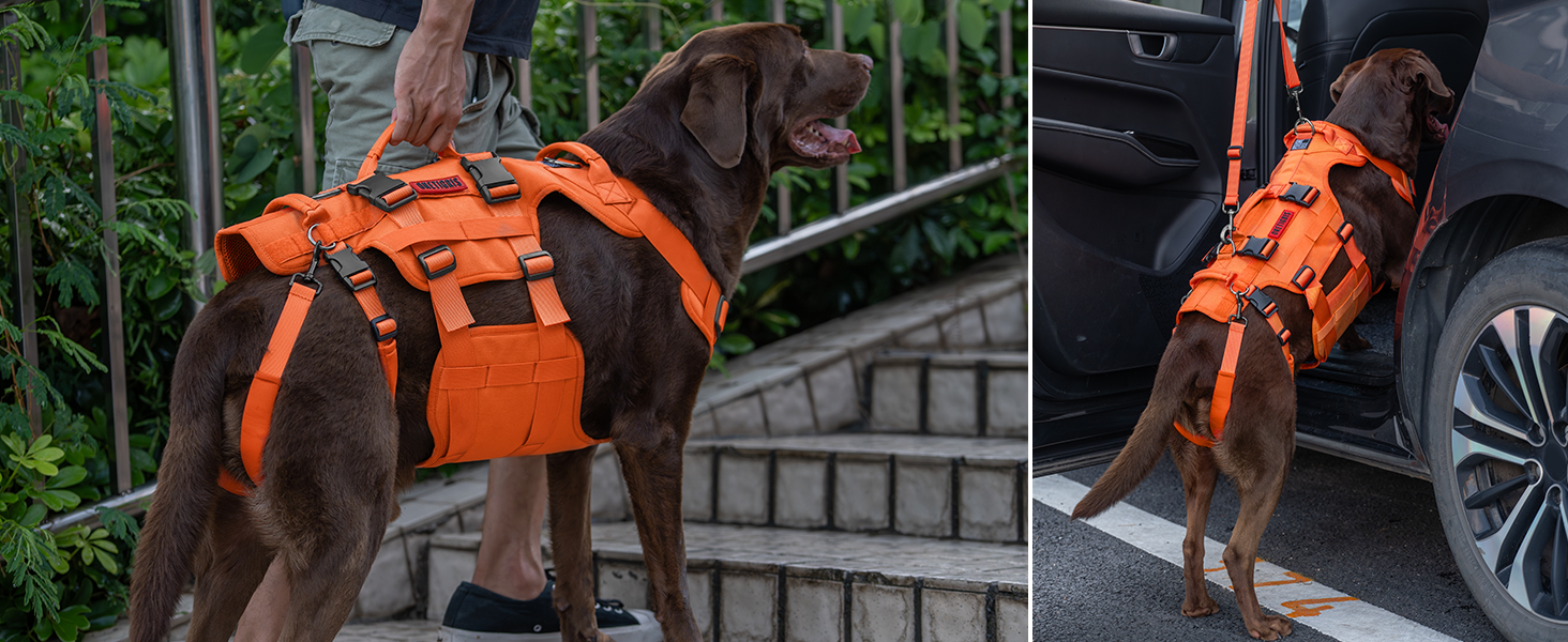 Шлейка для собак OneTigris Invictus, переносна допомога для собак середніх та великих порід, регульована, 3 ручки, для собак з обмеженими можливостями, травмованих або літніх, L (27-41 кг, обхват шиї 45-63 см, обхват грудей 68-91 см), помаранчевий