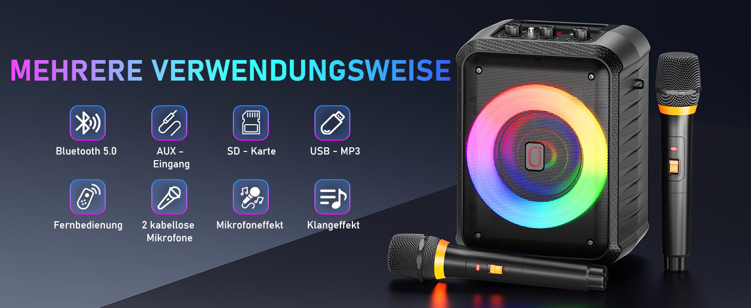 Караоке машина з 2 мікрофонами, портативна Bluetooth караоке система з LED підсвічуванням, Па-система, ідеальна для домашніх вечірок та як подарунок для дорослих та дітей, чорна D13T