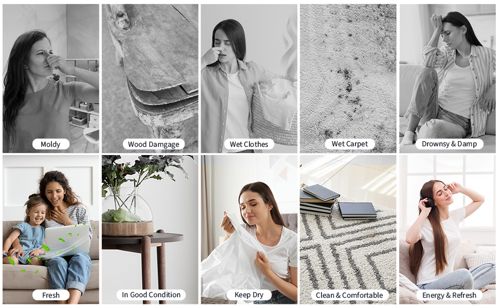 Електричний осушувач повітря для дому PKBOSS 1700ml - тихий, компактний, з нічним світлом та таймером для спальні, ванної кімнати, кухні. Захист від цвілі, білий