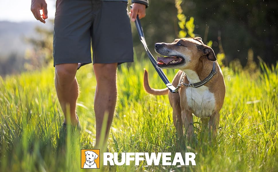 Ruffwear Chain Reaction регульований нашийник для собак, металевий ланцюжок