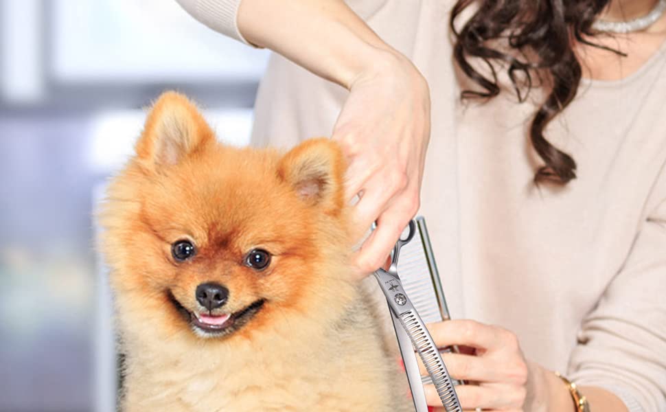 Ножиці для грумінгу собак та котів PURPLEBIRD 7.0 дюймів, вигнуті, з японської сталі 440C, ручна робота