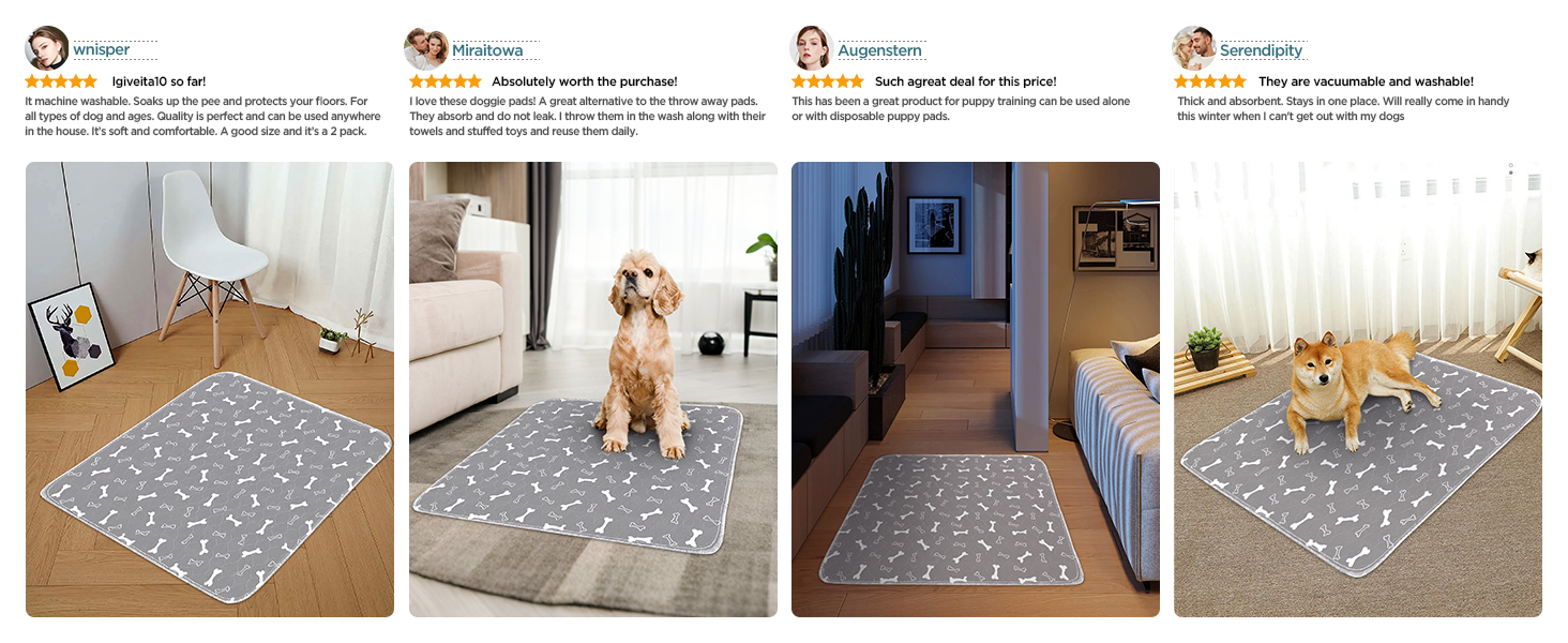 Підкладки для тварин Baodan, 2 шт. 90x60 см, швидко поглинаючі, для собак, котів, морських свинок