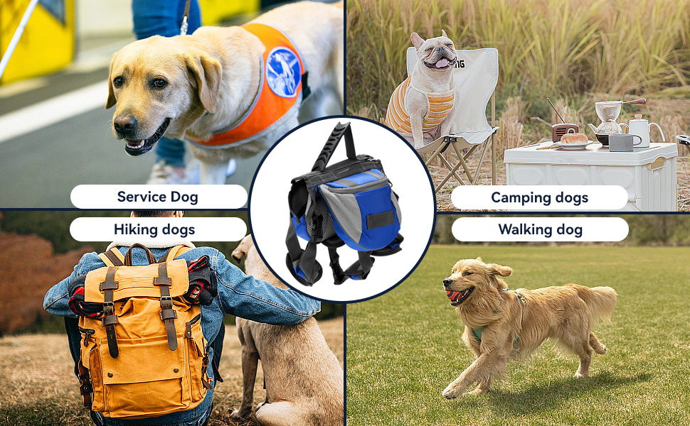 Рюкзак для собак Cyrank: зручний та безпечний для прогулянок та подорожей (L)