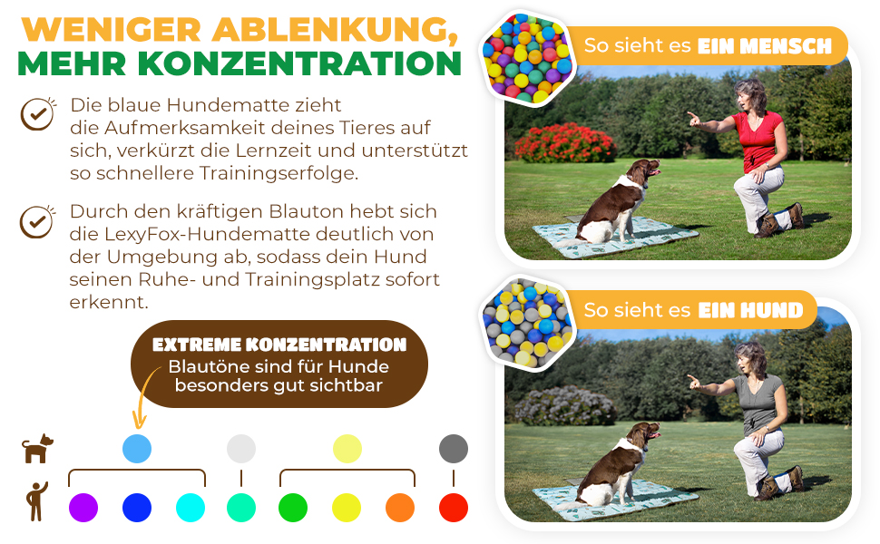 Лежанка для собак LexyFox: водовідштовхувальна, ізольована, з антиковзаючим покриттям | Підходить для подорожей, кемпінгу та відпочинку на природі | Лежанка для собак, килимок для тварин