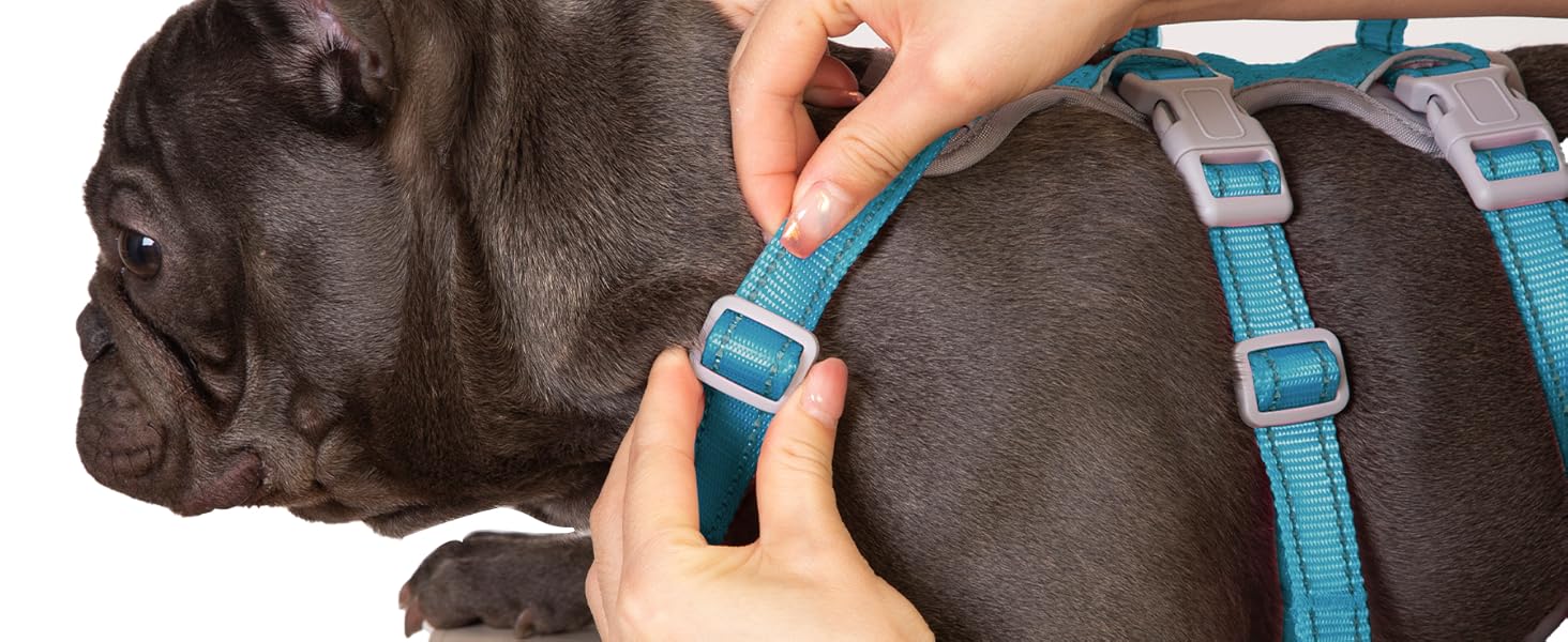 Шлейка безпеки для собак Huntboo, антизламна, зі світловідбиваючими елементами та м'якою ручкою, регульована жилетка для маленьких собак, для прогулянок та тренувань (S, Синій, X-Small, упаковка з 1)