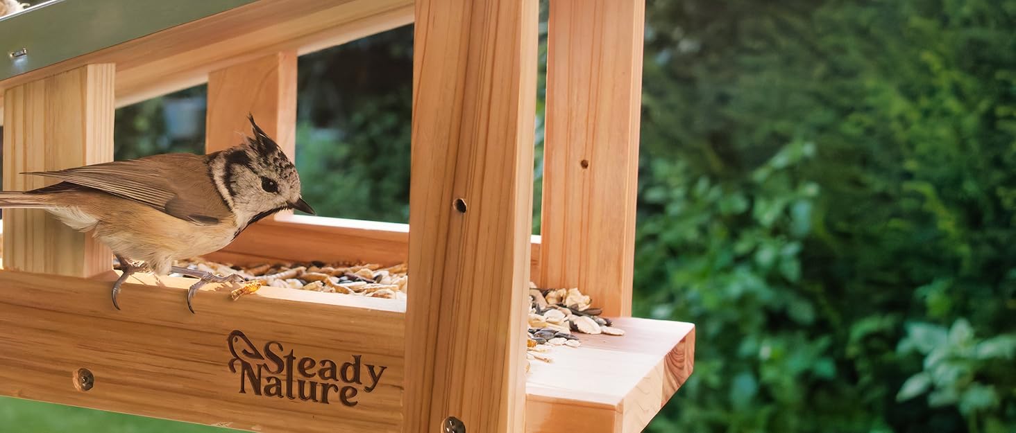 Підвісна годівниця для птахів Steady Nature з дерева, стійка до погодних умов, для саду, пташиний будиночок