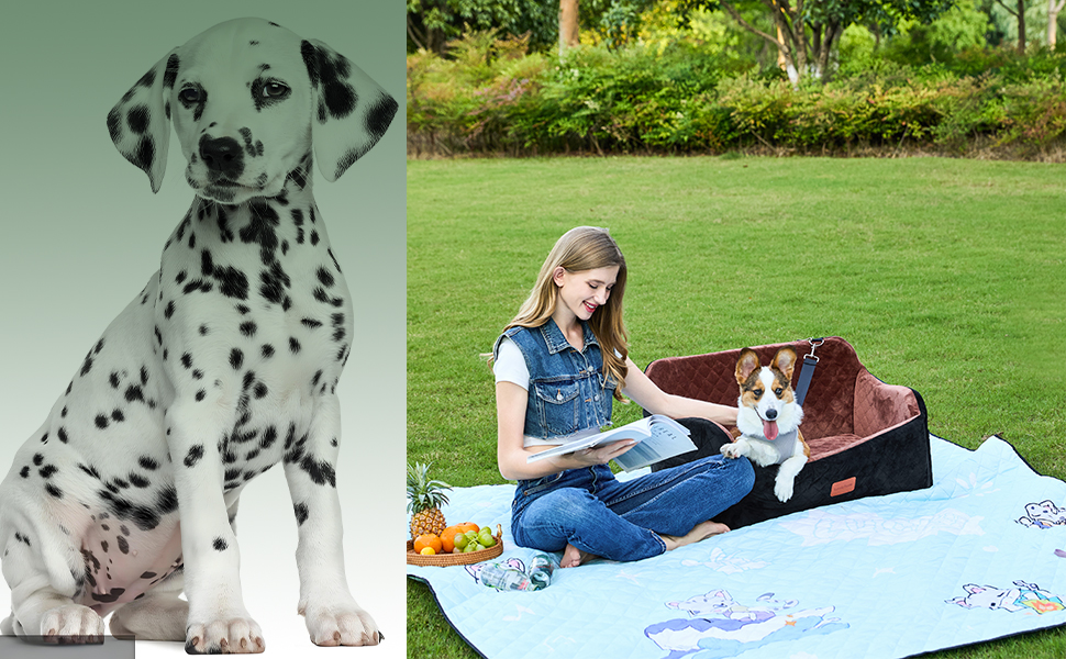 Автомобільний лежак для собак до 25 кг з кріпленнями та кишенями (Чорний/Сірий, Великий)