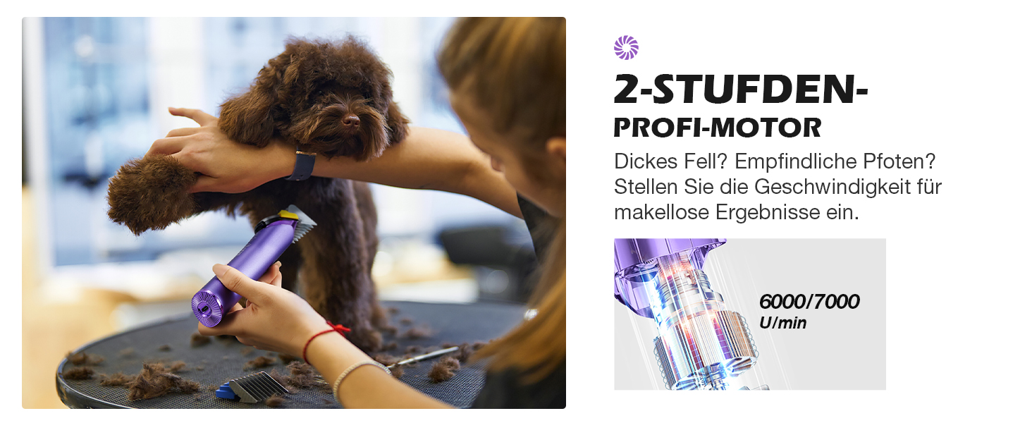 Професійна машинка для стрижки собак з запасним лезом, 5-в-1, фіолетовий колір