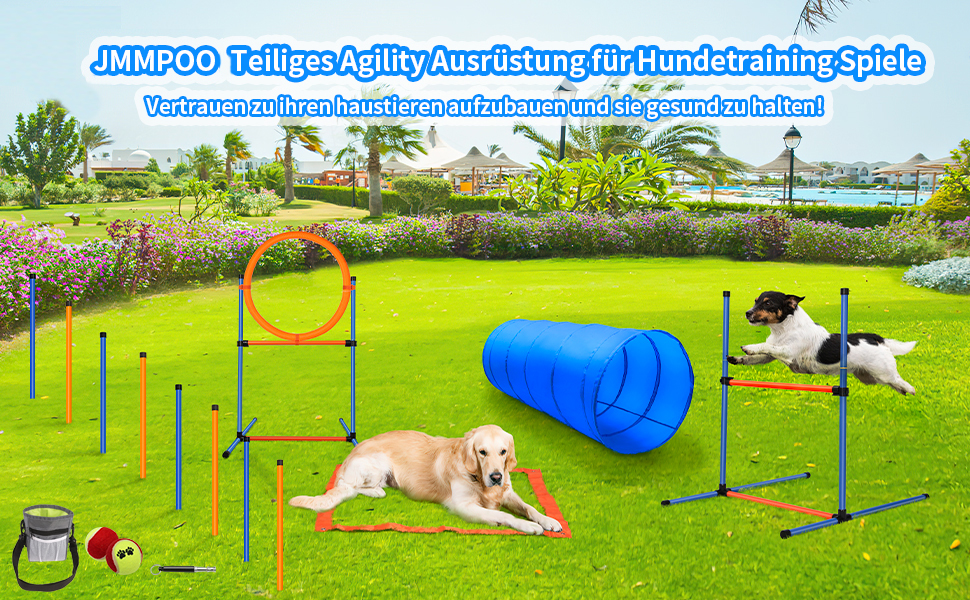 Набір для аджиліті для собак, 65 предметів: тунель, перешкоди, фігури для слалому, кільце для стрибків, м'ячики, переносна коробка, сумка для ласощів, сумка для перенесення