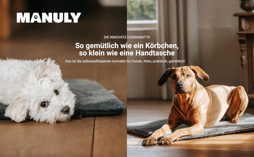 Килимок для собак у подорож: самонадувний килимок, м'який водовідштовхувальний чохол, сумка для перенесення, можна прати в пральній машині, знімний чохол, 100x70x3,5 см, 1080 г, сірий/блакитний