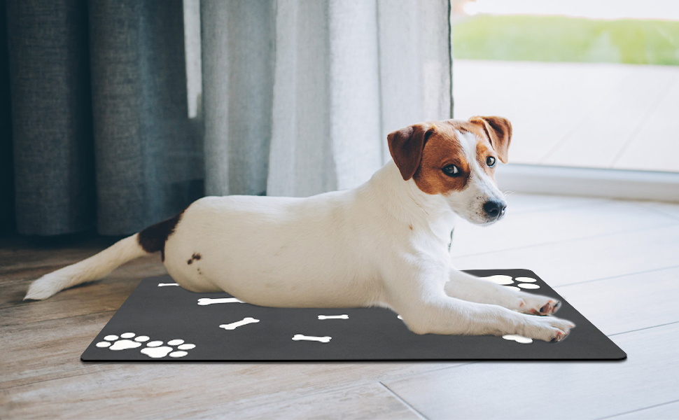 Килимок для тварин, супер вбирання, для собак та котів, з антиковзною гумовою основою, швидковисихаючий, пральний, 40 x 60 см, 2 пари наліпок з лапами, чорний