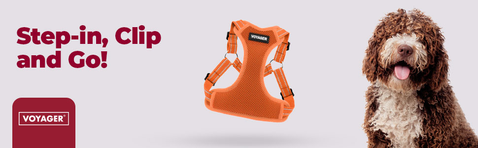 Шлейка для собак Voyager регульована з світловідбиваючими смугами Best Pet Supplies - міцна повна жилетка без натягу з кільцем для повідка, дихаюча, рожева, розмір XS (Обхват грудей: 13-16 дюймів)