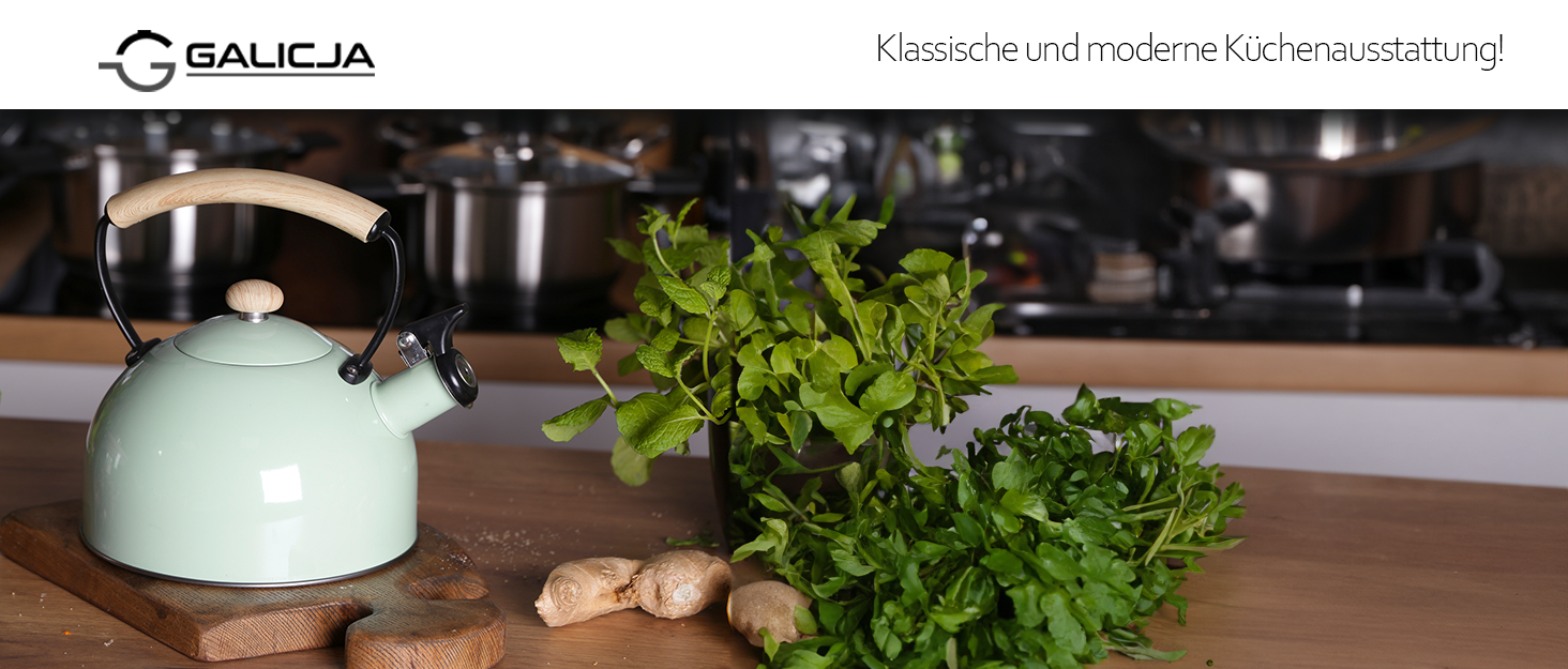 Чайник електричний зі свистком з нержавіючої сталі Molly, 1.7л, зелений (газова плита, індукція, плита)