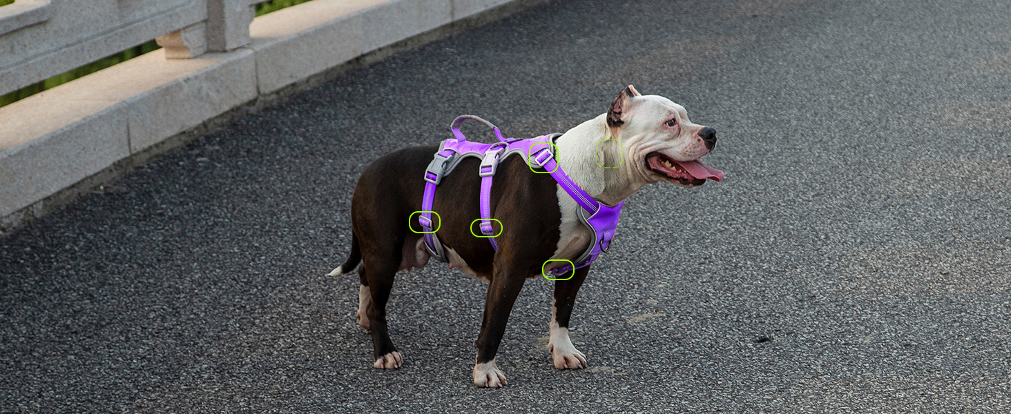 Нашийник для собак Huntboo, великих порід, анти-вислизання, світловідбиваючий, водонепроникний, регульований, для прогулянок та бігу (L, фіолетовий лаванда)