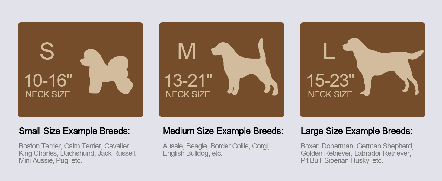 Шлейка для собак Didog з м'якої шкіри, міцна, з надійною застібкою, регульована, для середніх та маленьких собак, блакитна, розмір M (13-21 см)