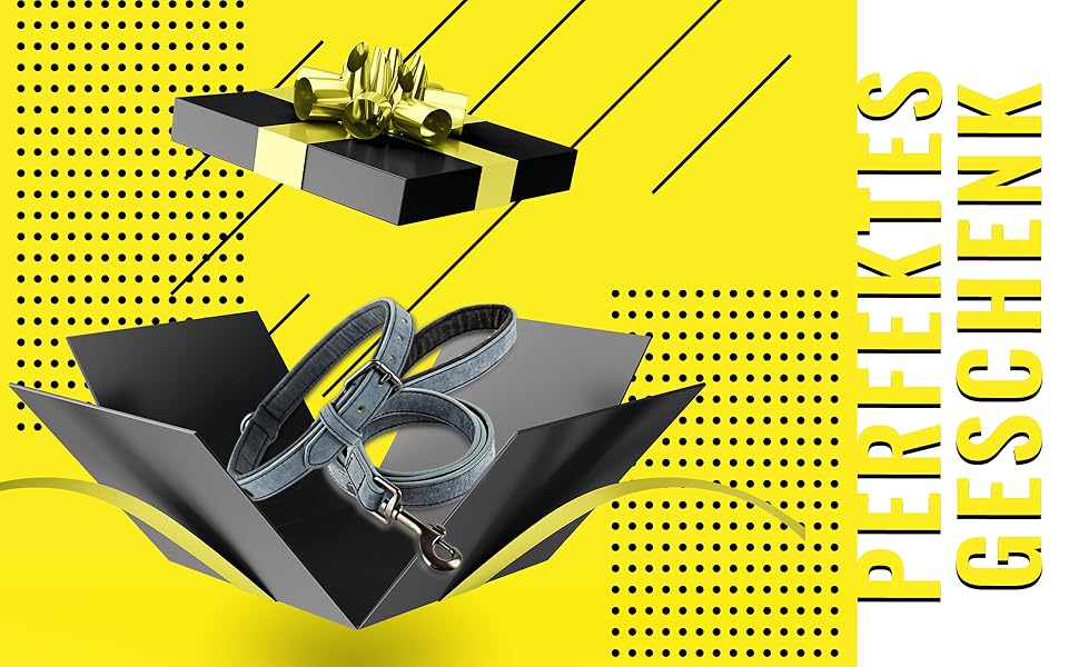 Набір повідка та нашийника ne&no® (веганська шкіра) для собак, 1.2м, блакитний/антрацит, регульований, з карабіном