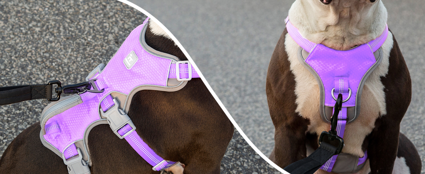 Нашийник для собак Huntboo, великих порід, анти-вислизання, світловідбиваючий, водонепроникний, регульований, для прогулянок та бігу (L, фіолетовий лаванда)