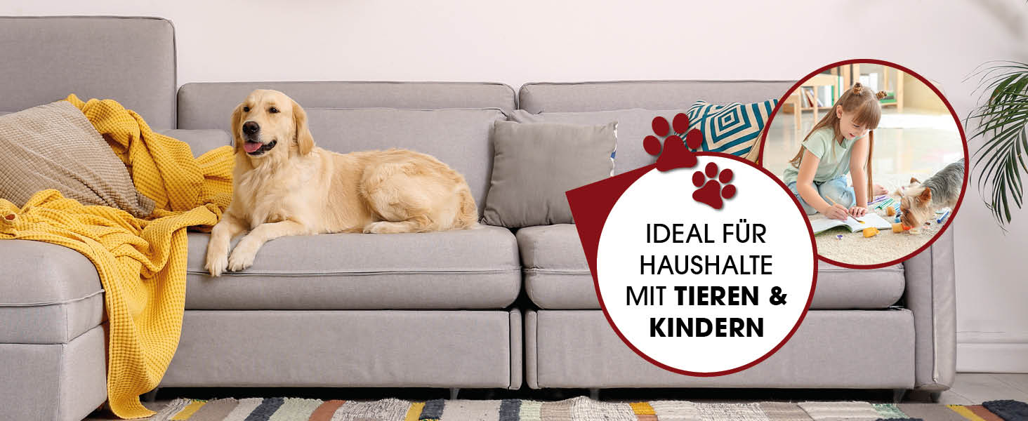 CLEANmaxx Пилосос для м'яких меблів та килимів: видалення плям, компактний, потужний | 400W, 9kPa, чорний