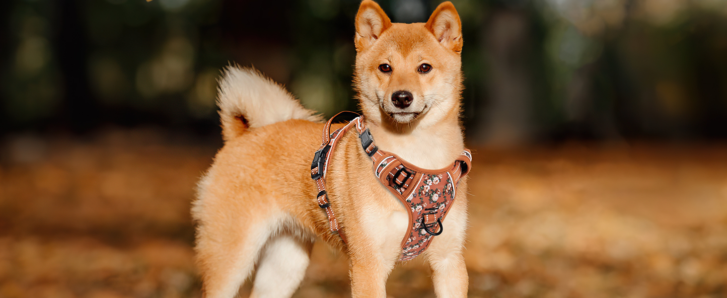 Шлейка для собак HEELE з поглинанням ривка, світловідбиваюча, для середніх собак, з м'яким ручним захопленням, коричнева, розмір M (L - обхват грудей: 43-86 см)