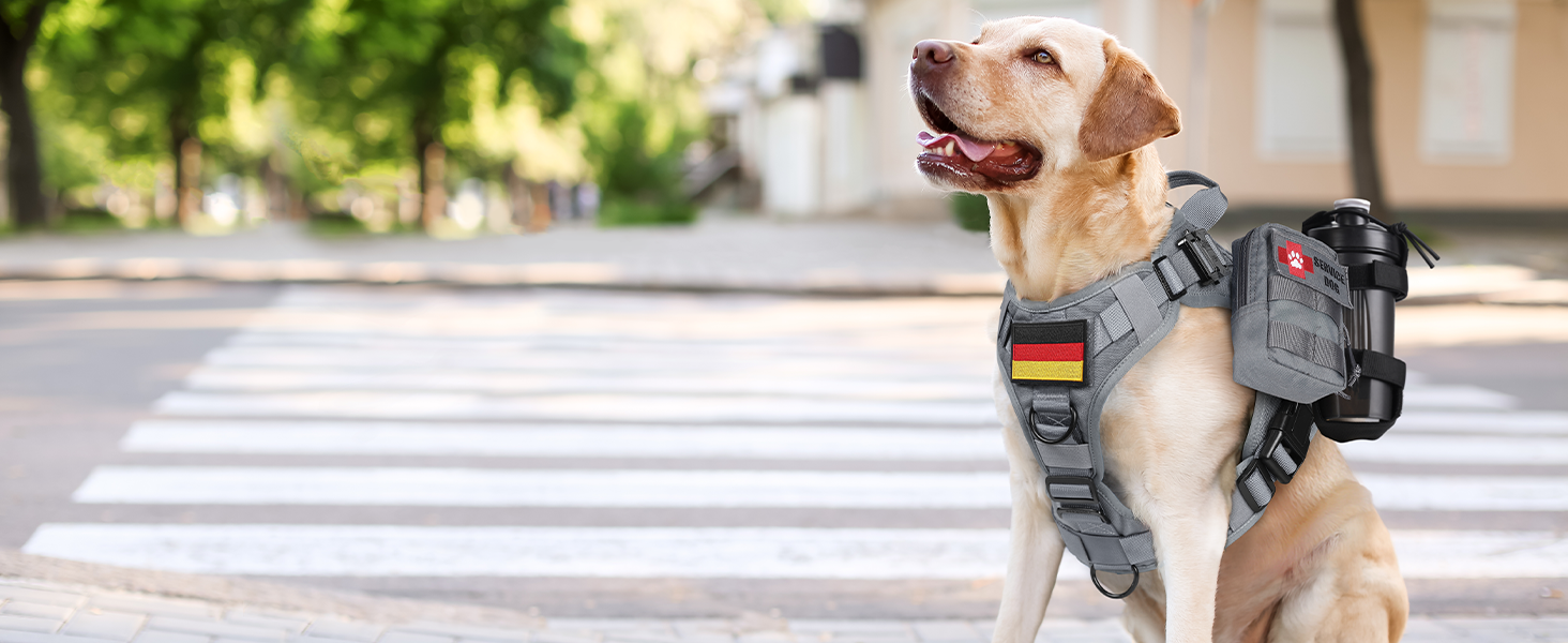 Шлейка для собак Rabbitgoo для великих собак без натягу, тактична, з MOLLE, металеві пряжки, дихаюча, військова, регульована, з підкладкою, L (1 шт., сіра)