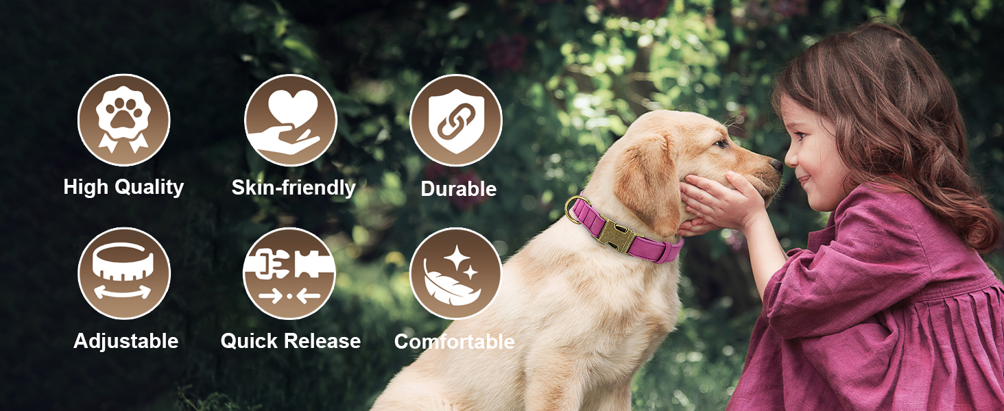 Шлейка для собак Didog з м'якої шкіри, міцна, з надійною застібкою, регульована, для середніх та маленьких собак, блакитна, розмір M (13-21 см)