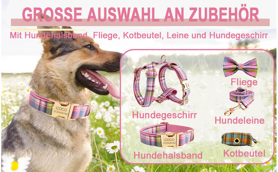 Нашийник для собак з металевою застібкою, двосторонній, з іменем та номером телефону, регульований розмір, M та L (Тартан)