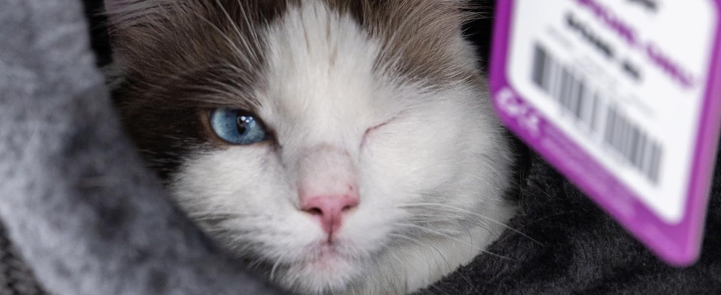 Кігтеточка Petrebels Dome, 80 см, чорна: стабільна та міцна