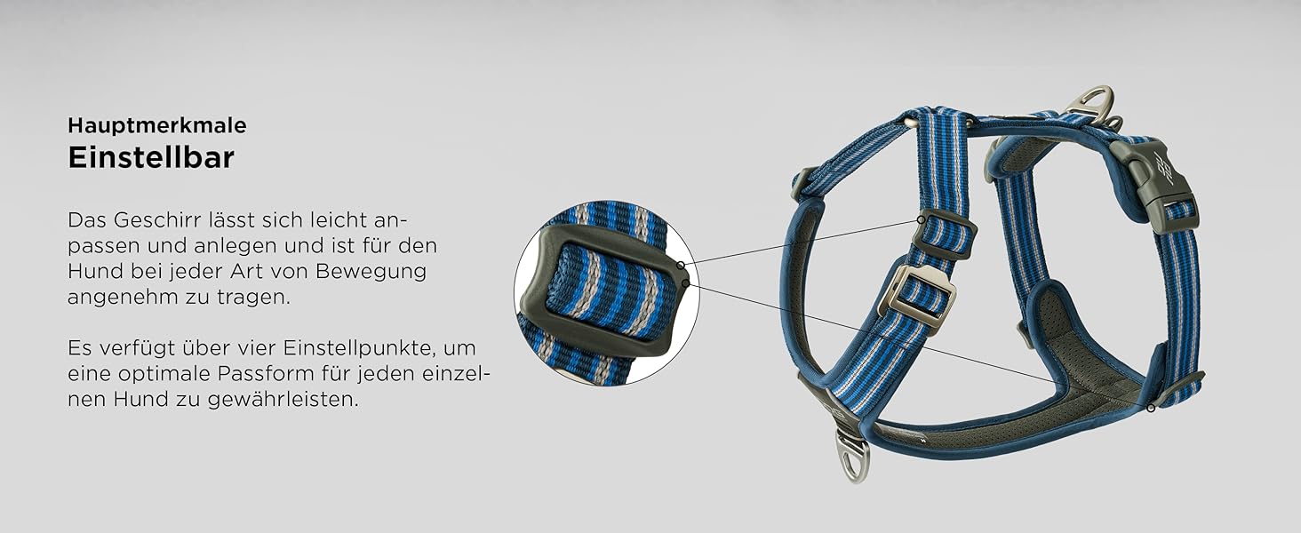 Нашийник для собак DOG Copenhagen Comfort Walk Air 3.0, Wild Rose, S