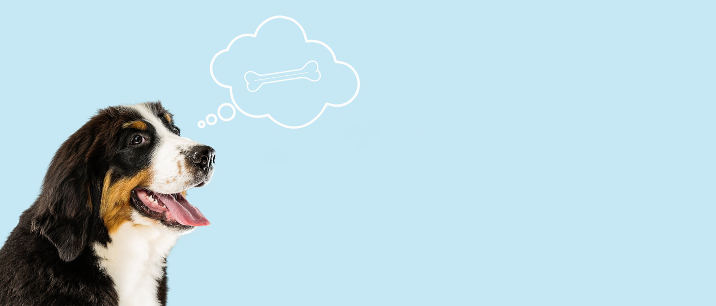 Електричний точило для собачих кігтів Brifit - тихий, для малих, середніх та великих собак, білий/сріблястий