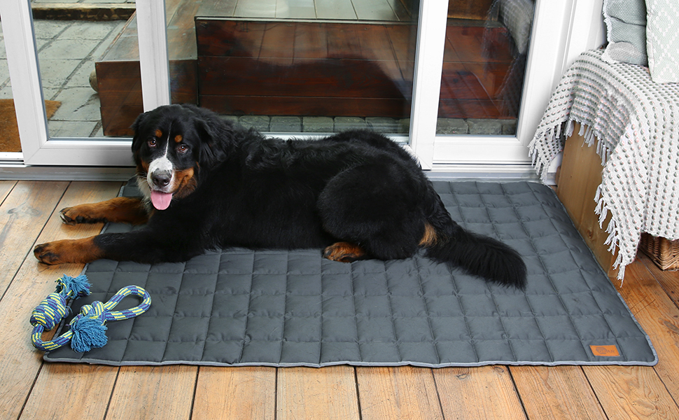 Килимок для собак Your Gear 120x80 см з органічної бавовни Oeko-Tex | Ортопедичний лежак для великих собак, водовідштовхуючий, миючий та стійкий до подряпин. Підходить для дому та вулиці