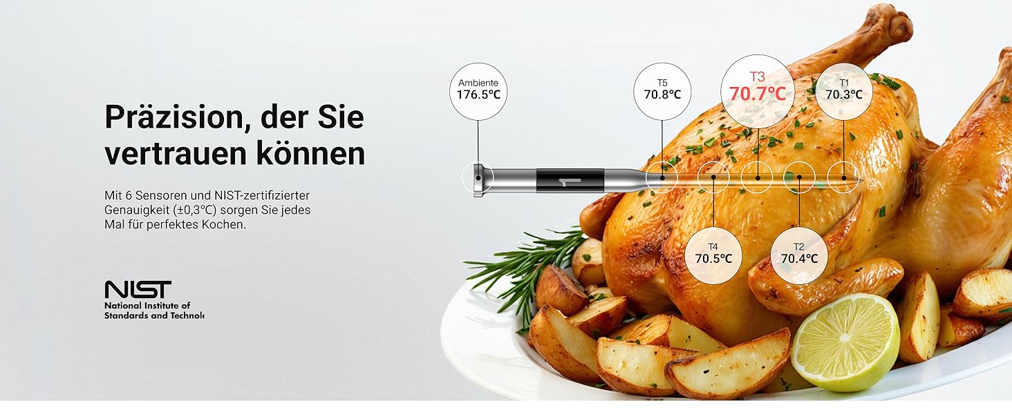 ThermoMaven P2 Розумний термометр для м'яса бездротовий Bluetooth 5.3, 6 сенсорів, Wi-Fi моніторинг, IPX8 водонепроникний, для гриля, духовки, кухні, фритюрниці (1 зонд)